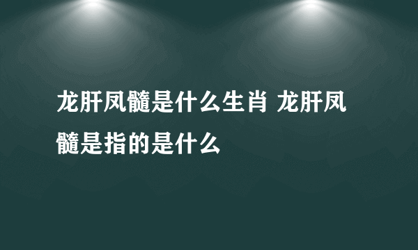 龙肝凤髓是什么生肖 龙肝凤髓是指的是什么