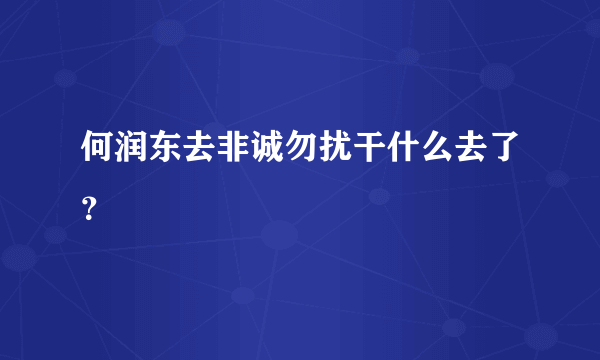 何润东去非诚勿扰干什么去了？