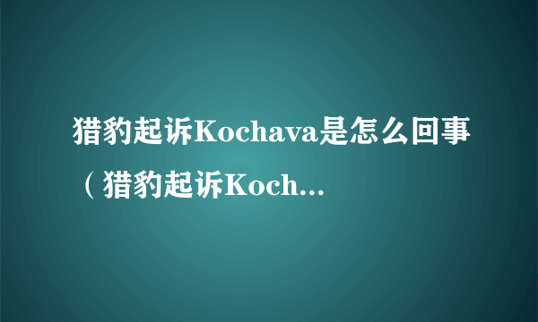 猎豹起诉Kochava是怎么回事（猎豹起诉Kochava事件详情一览）