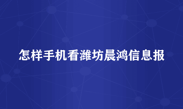 怎样手机看潍坊晨鸿信息报