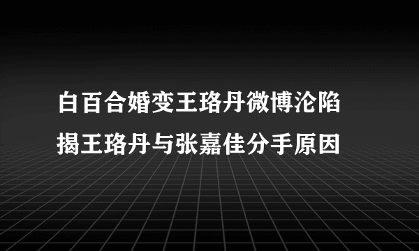 白百合婚变王珞丹微博沦陷 揭王珞丹与张嘉佳分手原因