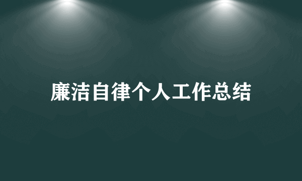 廉洁自律个人工作总结