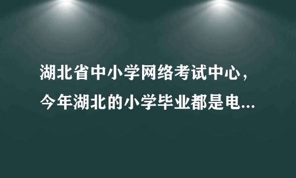 湖北省中小学网络考试中心，今年湖北的小学毕业都是电脑分班吗