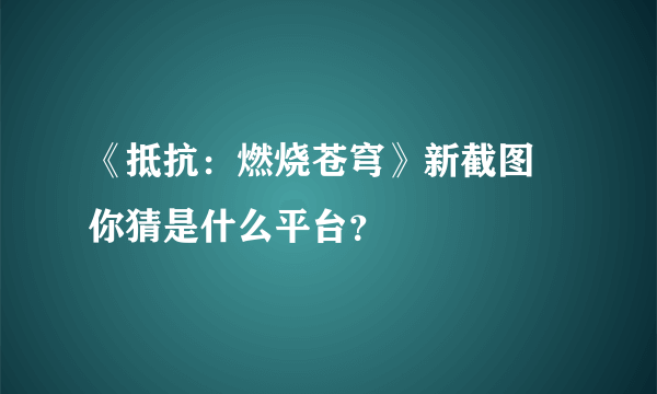 《抵抗：燃烧苍穹》新截图 你猜是什么平台？