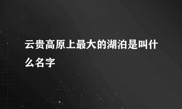 云贵高原上最大的湖泊是叫什么名字