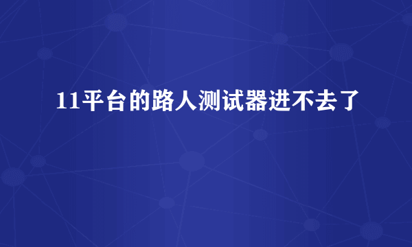 11平台的路人测试器进不去了