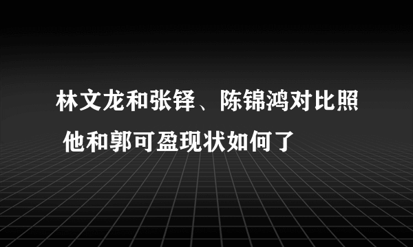 林文龙和张铎、陈锦鸿对比照 他和郭可盈现状如何了