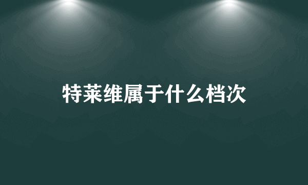 特莱维属于什么档次