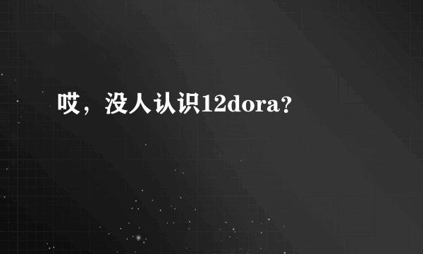 哎，没人认识12dora？