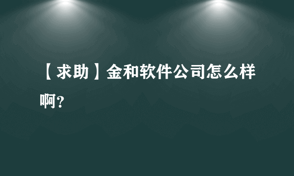 【求助】金和软件公司怎么样啊？