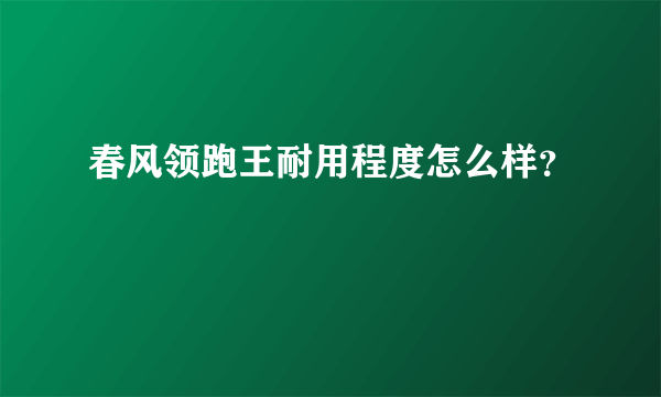 春风领跑王耐用程度怎么样？