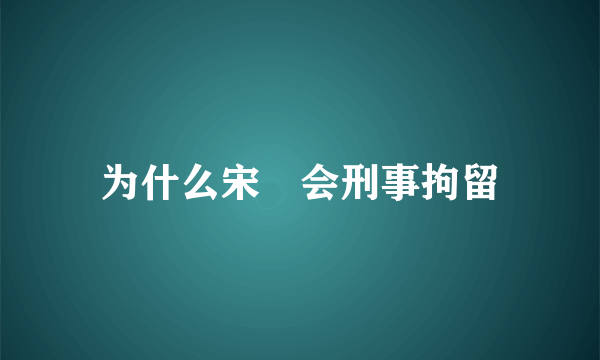 为什么宋喆会刑事拘留