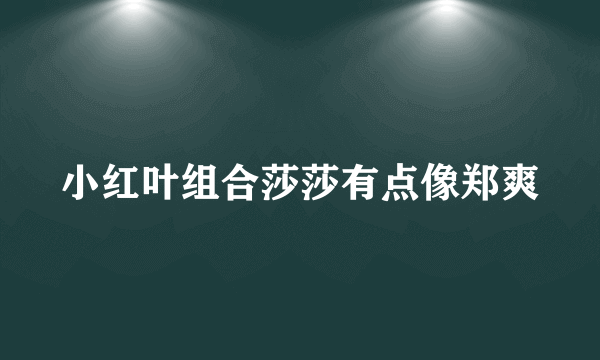 小红叶组合莎莎有点像郑爽