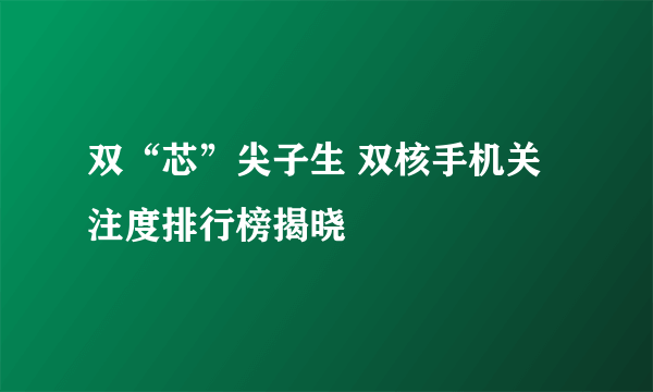 双“芯”尖子生 双核手机关注度排行榜揭晓