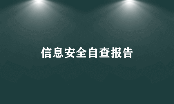 信息安全自查报告