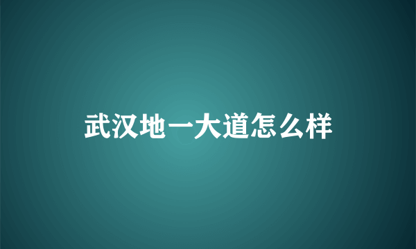 武汉地一大道怎么样