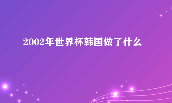 2002年世界杯韩国做了什么