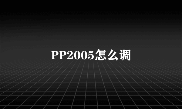 PP2005怎么调