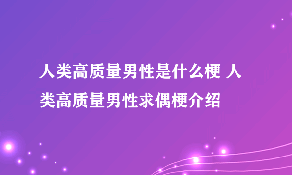 人类高质量男性是什么梗 人类高质量男性求偶梗介绍