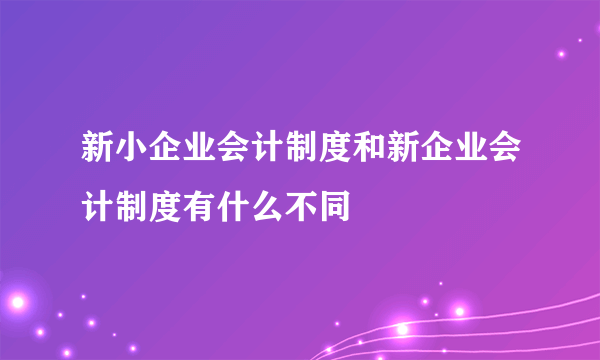 新小企业会计制度和新企业会计制度有什么不同