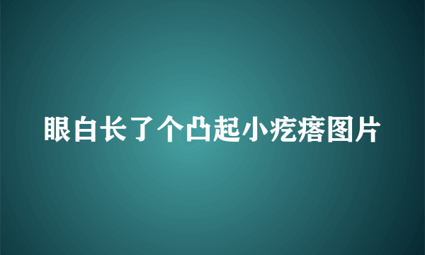 眼白长了个凸起小疙瘩图片