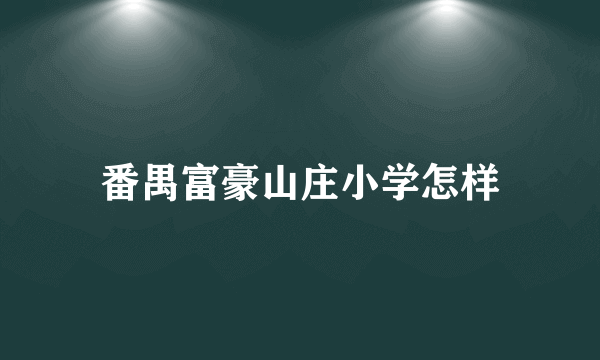 番禺富豪山庄小学怎样