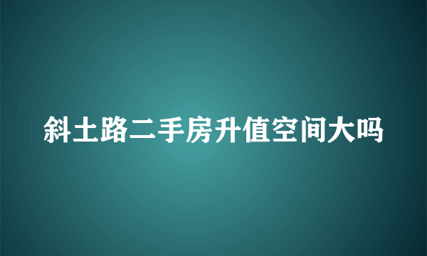 斜土路二手房升值空间大吗