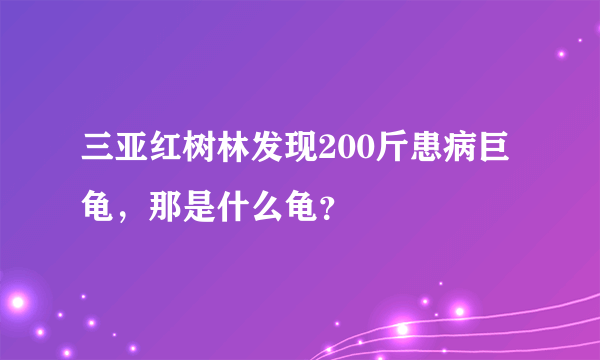 三亚红树林发现200斤患病巨龟，那是什么龟？