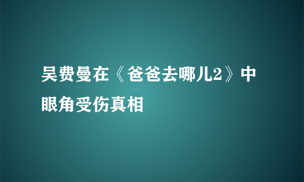 吴费曼在《爸爸去哪儿2》中眼角受伤真相