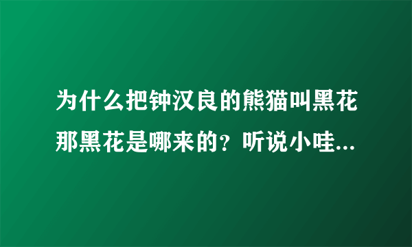 为什么把钟汉良的熊猫叫黑花那黑花是哪来的？听说小哇上哪儿都会带上她？