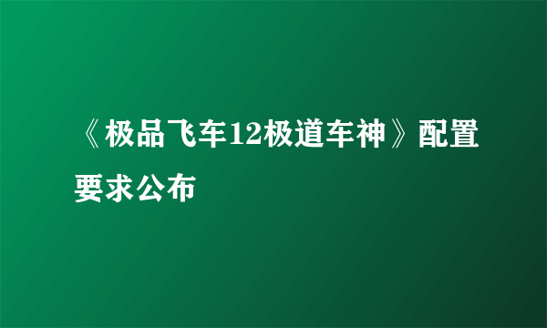 《极品飞车12极道车神》配置要求公布