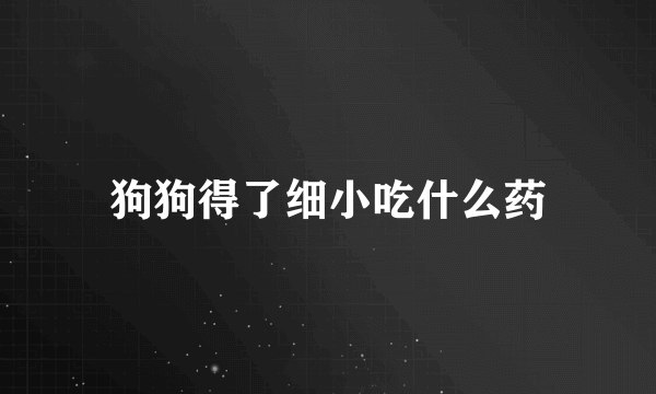 狗狗得了细小吃什么药