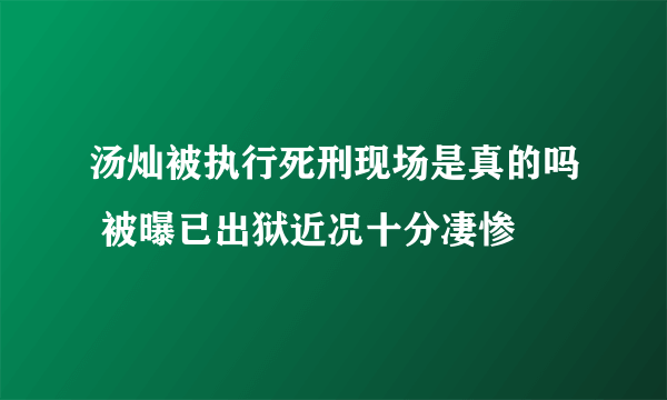 汤灿被执行死刑现场是真的吗 被曝已出狱近况十分凄惨