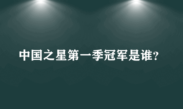 中国之星第一季冠军是谁？