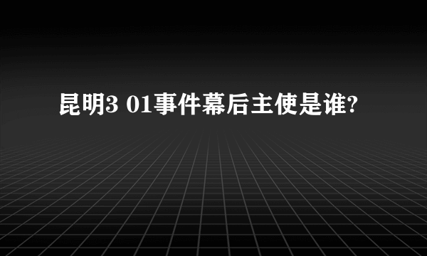 昆明3 01事件幕后主使是谁?