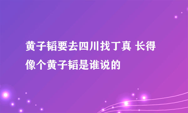 黄子韬要去四川找丁真 长得像个黄子韬是谁说的