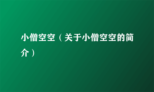 小僧空空（关于小僧空空的简介）