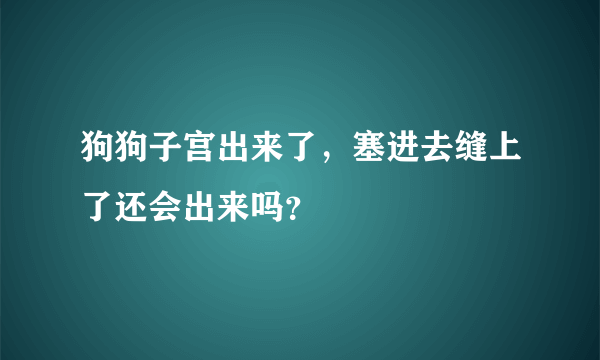 狗狗子宫出来了，塞进去缝上了还会出来吗？