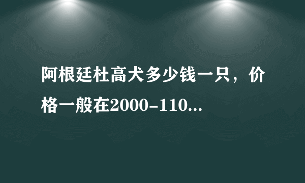 阿根廷杜高犬多少钱一只，价格一般在2000-11000元之间