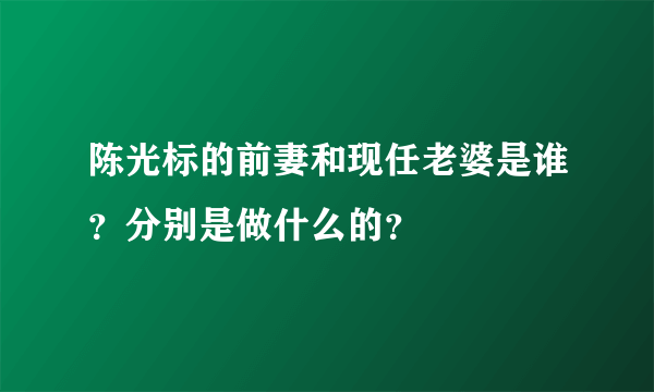 陈光标的前妻和现任老婆是谁？分别是做什么的？