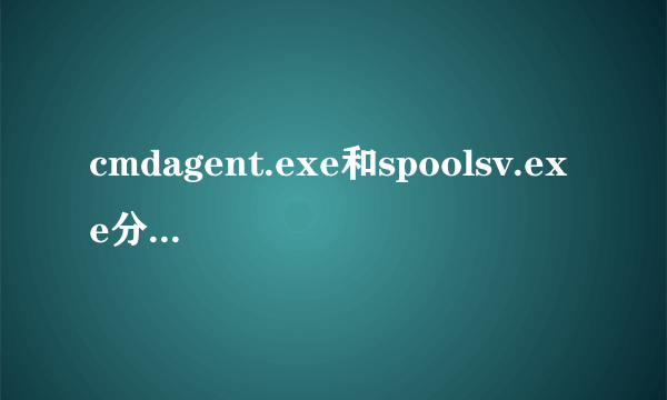 cmdagent.exe和spoolsv.exe分别是什么进程?