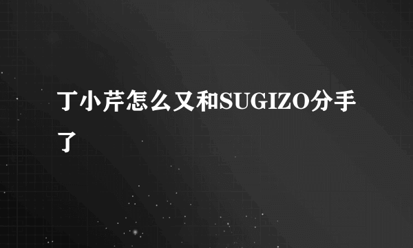 丁小芹怎么又和SUGIZO分手了