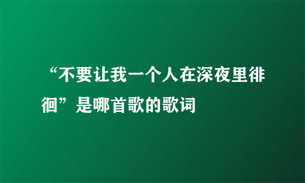 “不要让我一个人在深夜里徘徊”是哪首歌的歌词