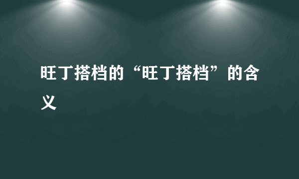 旺丁搭档的“旺丁搭档”的含义