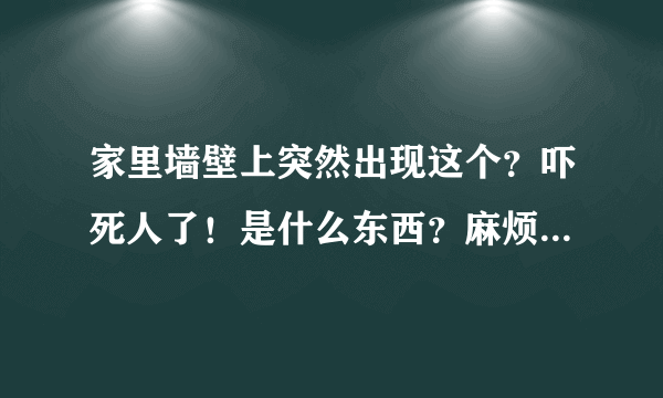 家里墙壁上突然出现这个？吓死人了！是什么东西？麻烦大家帮帮我，咋弄？谢谢