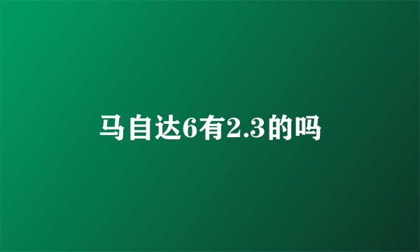 马自达6有2.3的吗