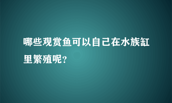 哪些观赏鱼可以自己在水族缸里繁殖呢？