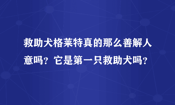 救助犬格莱特真的那么善解人意吗？它是第一只救助犬吗？