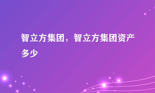 智立方集团，智立方集团资产多少