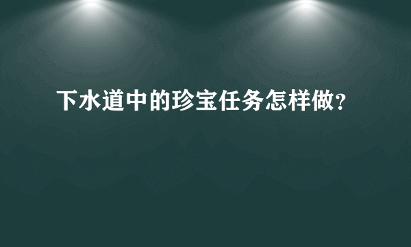 下水道中的珍宝任务怎样做？